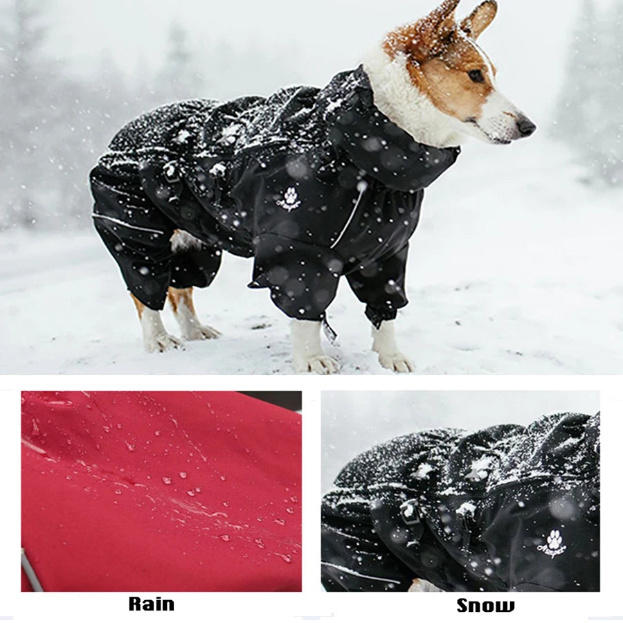 Dog Coat