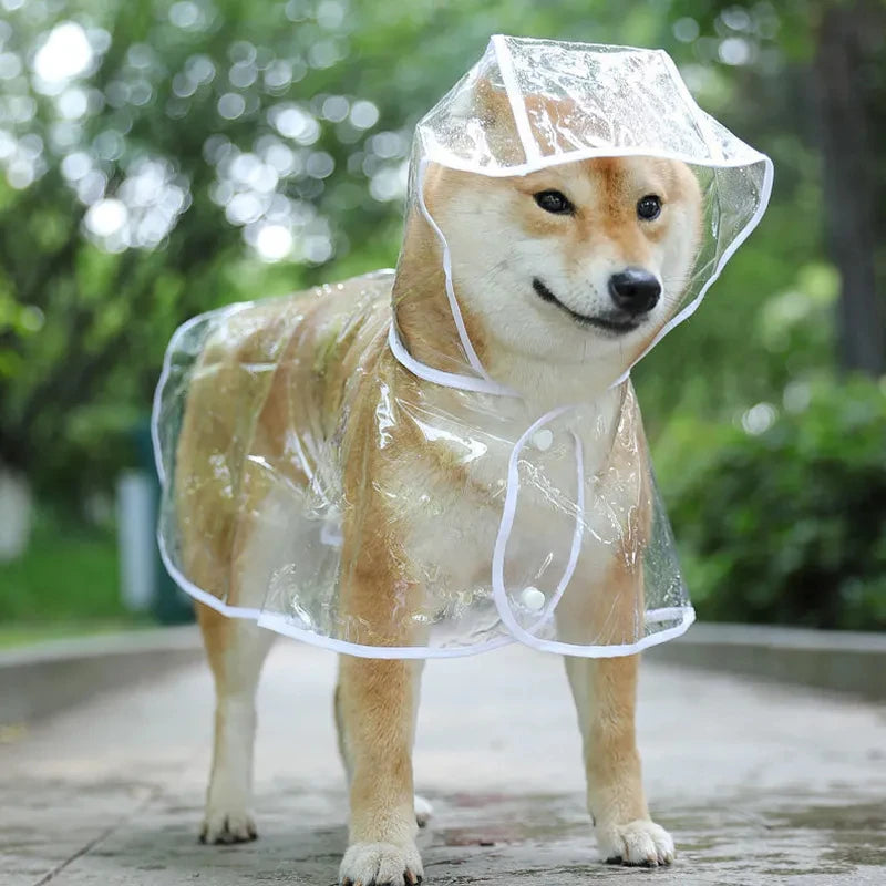 Transparent Rainwear