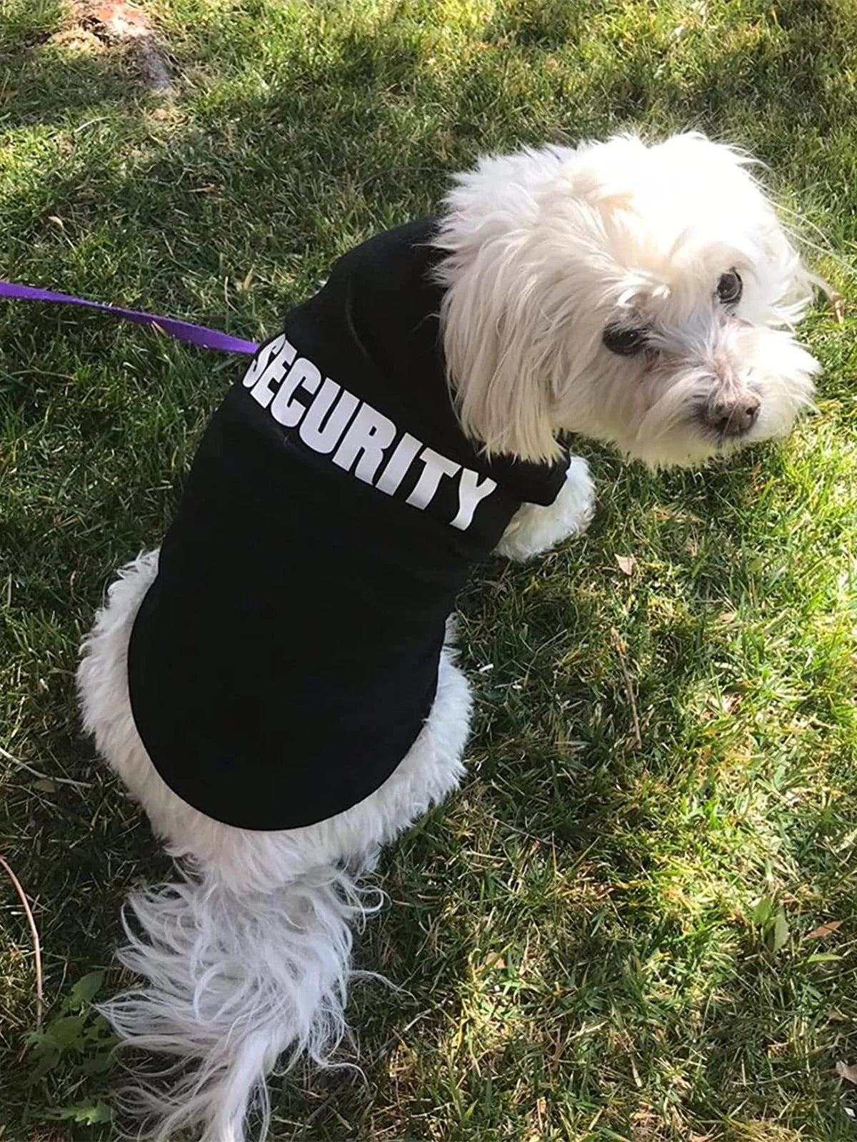 Security T-shirt Costume