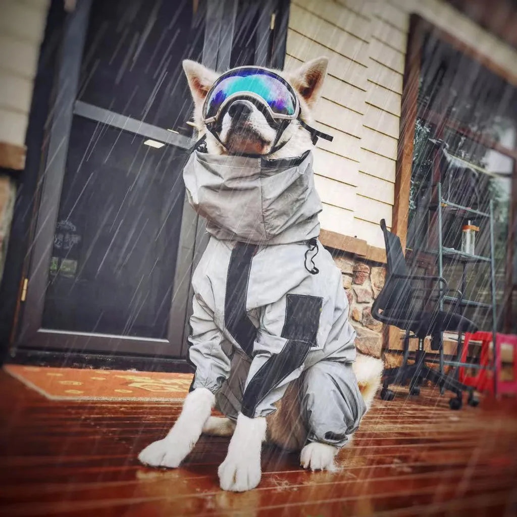 Dog Raincoat
