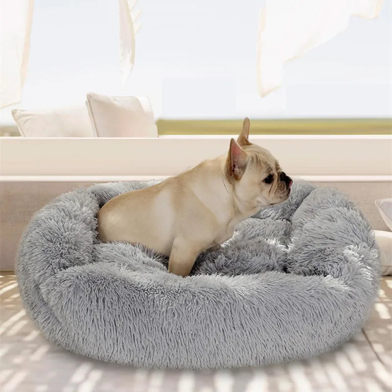 Dog Bed