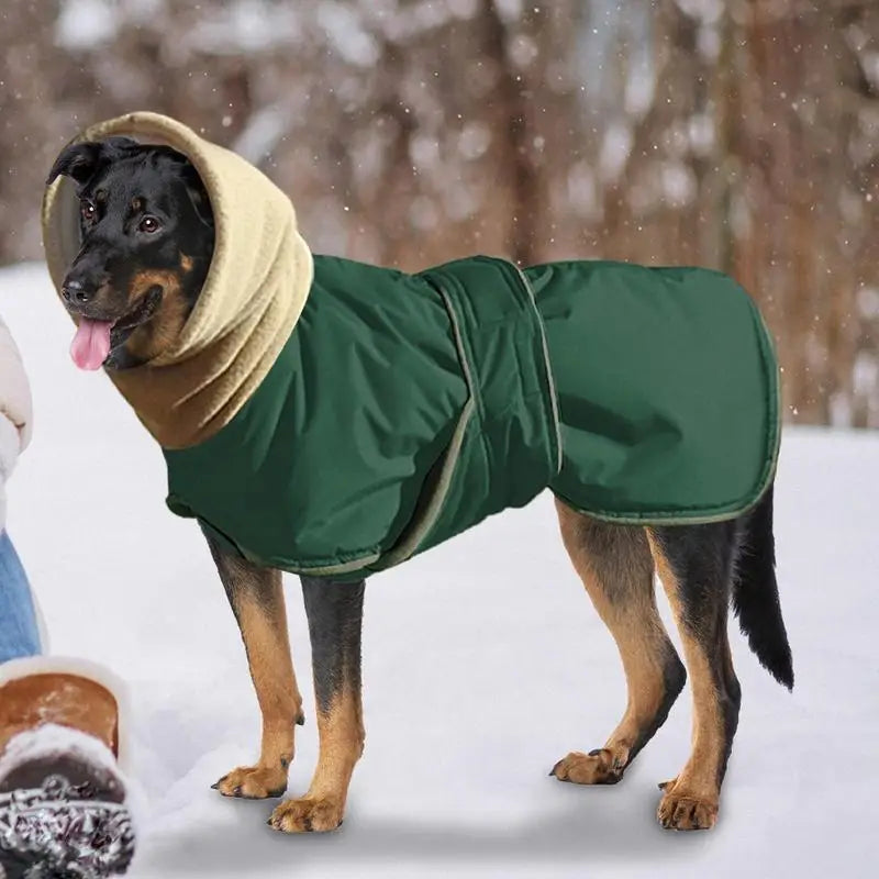 Dog Jacket