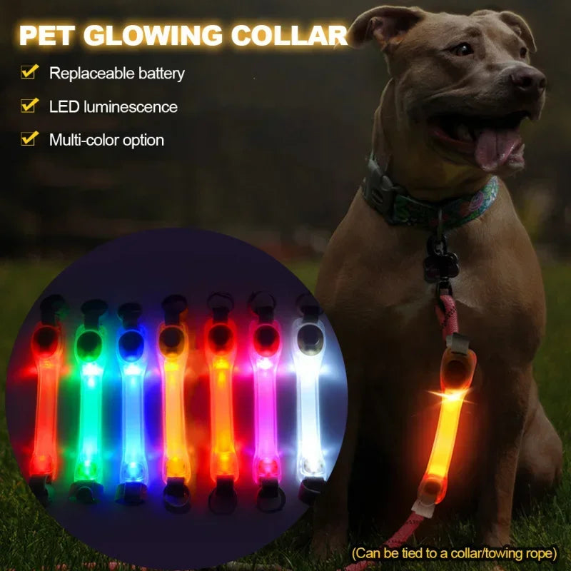 Glowing Collar