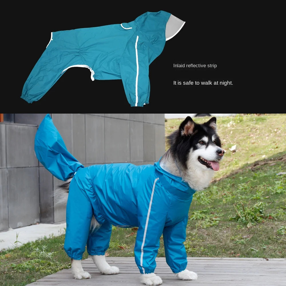 Big Dog Raincoat