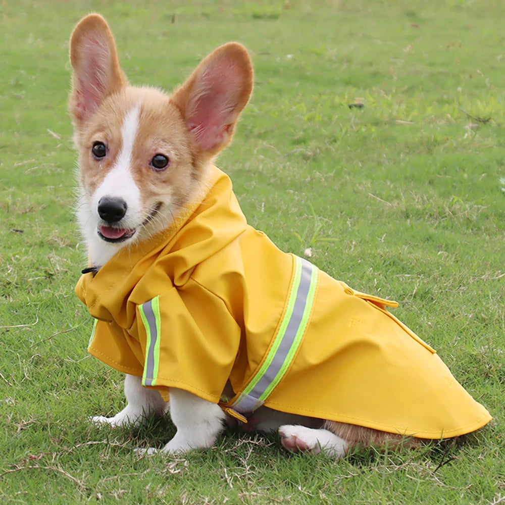 Dog Corgi Cloak