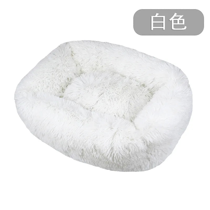 Dog Bed