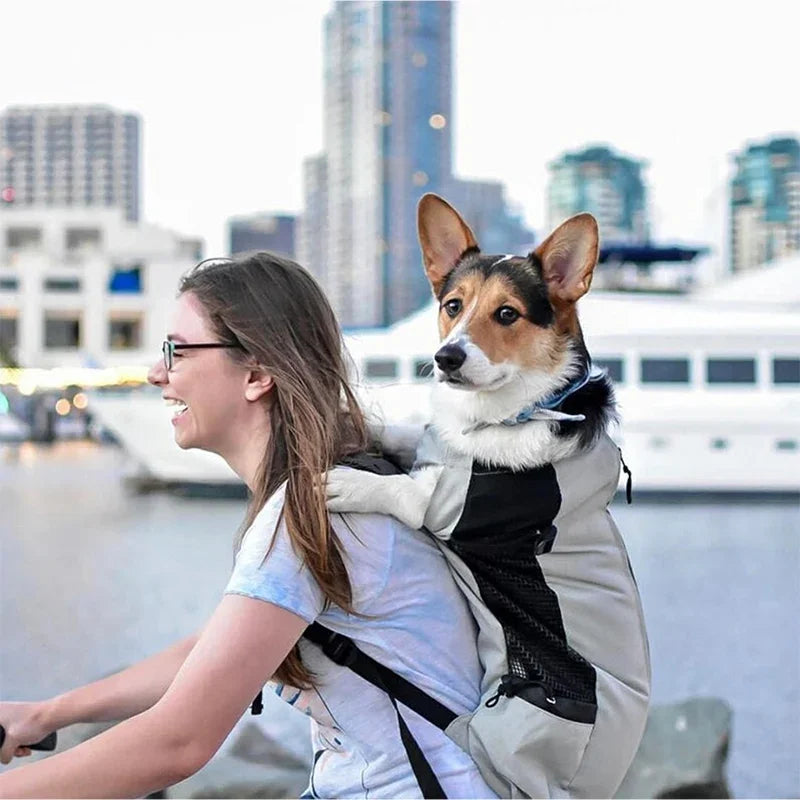 Dog Carrier Backpack