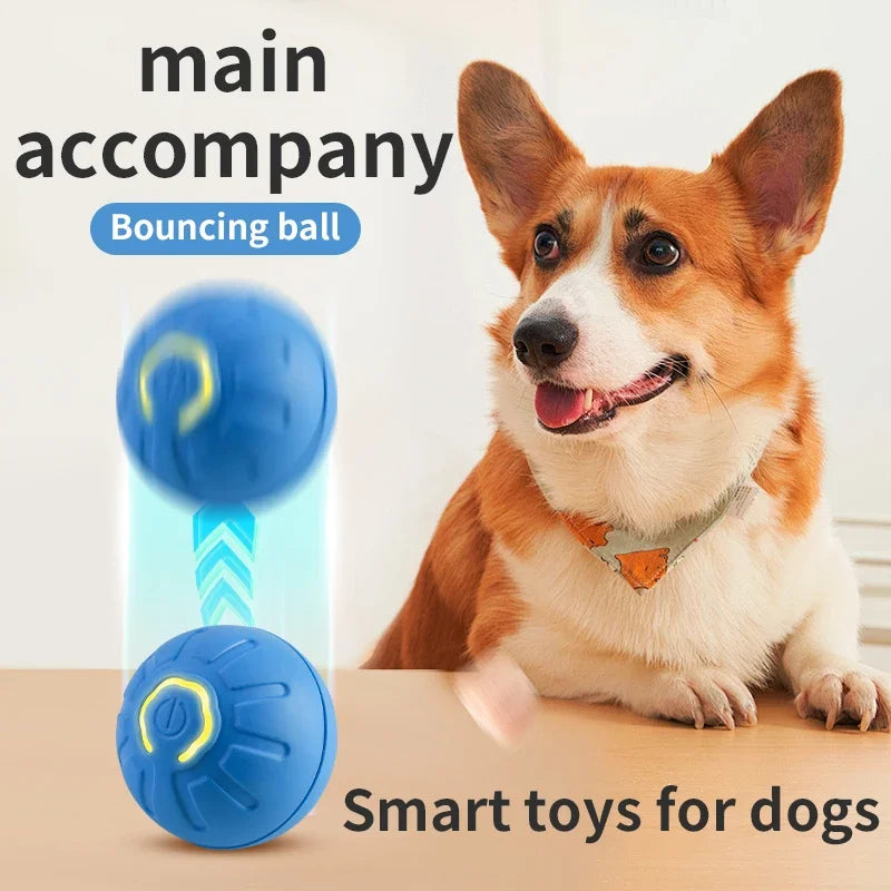 Elec Dog's Toy Ball