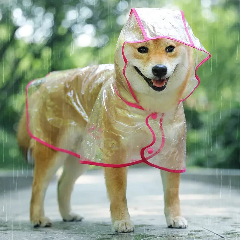Transparent Rainwear