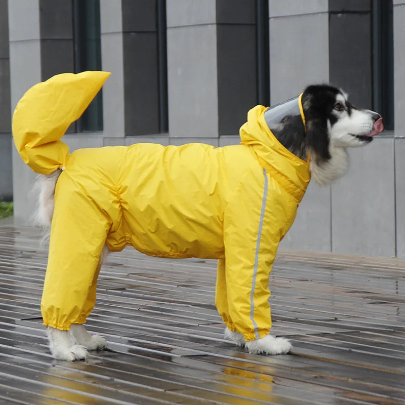 Big Dog Raincoat
