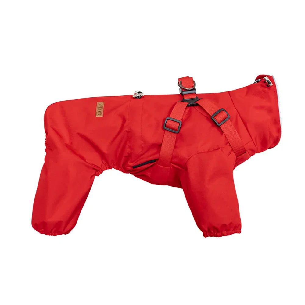 Dog Raincoat with Harness
