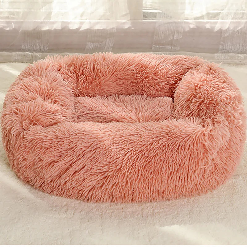 Dog Bed