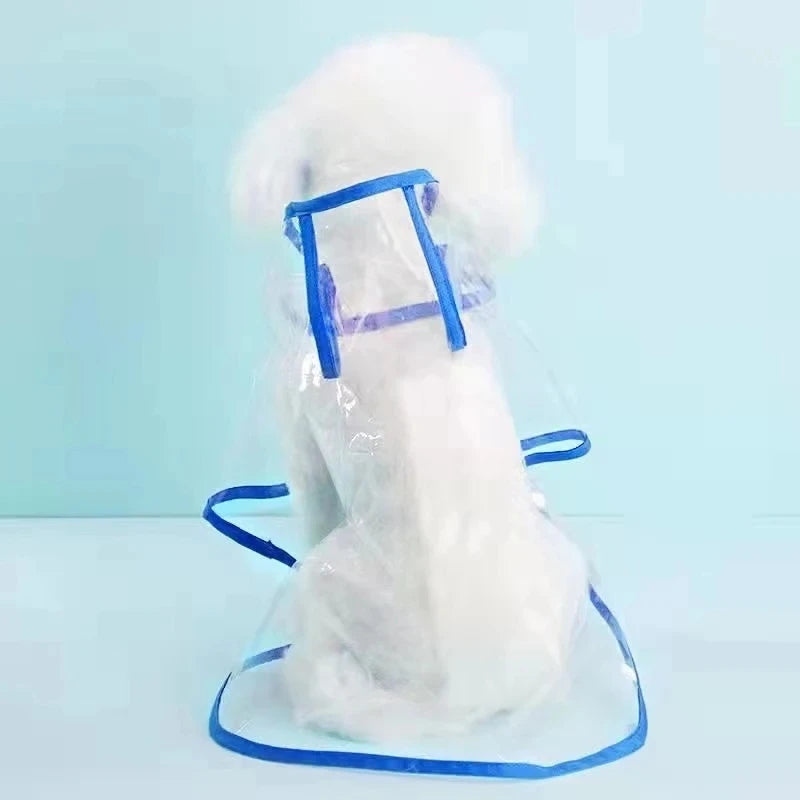 Transparent Rainwear