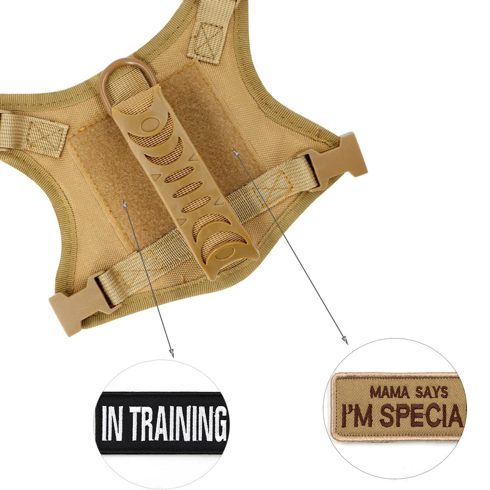 Tactical Puppy  Leash