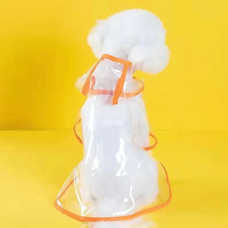 Transparent Rainwear