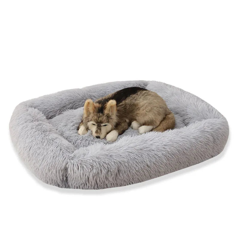 Dog Bed