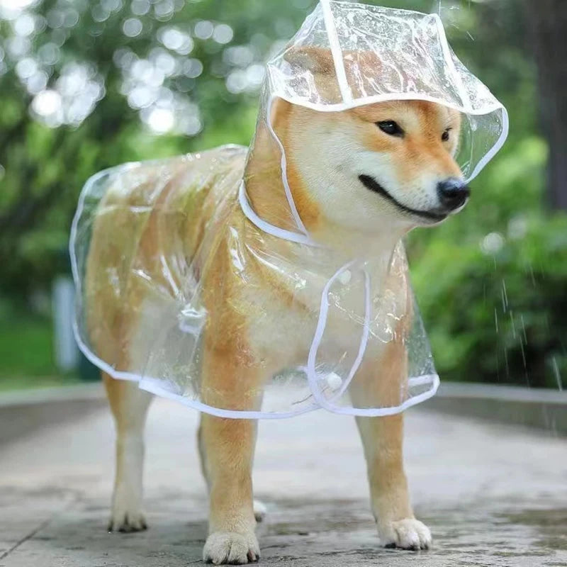 Transparent Rainwear