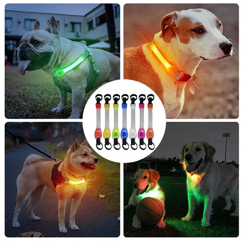 Glowing Collar