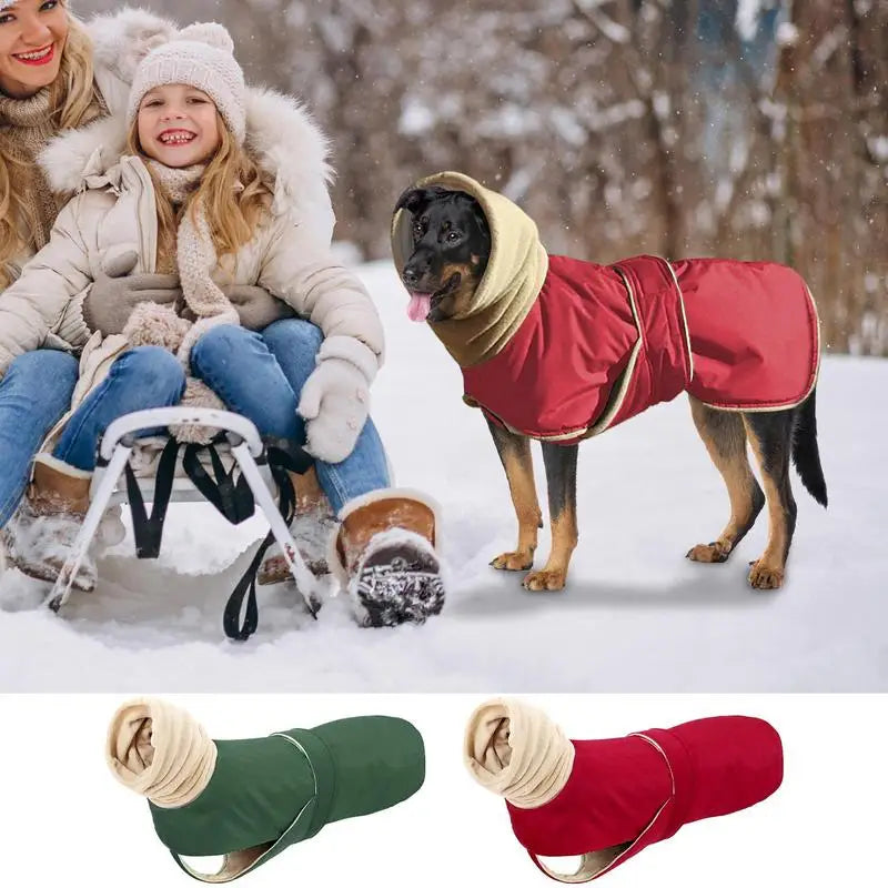 Dog Jacket