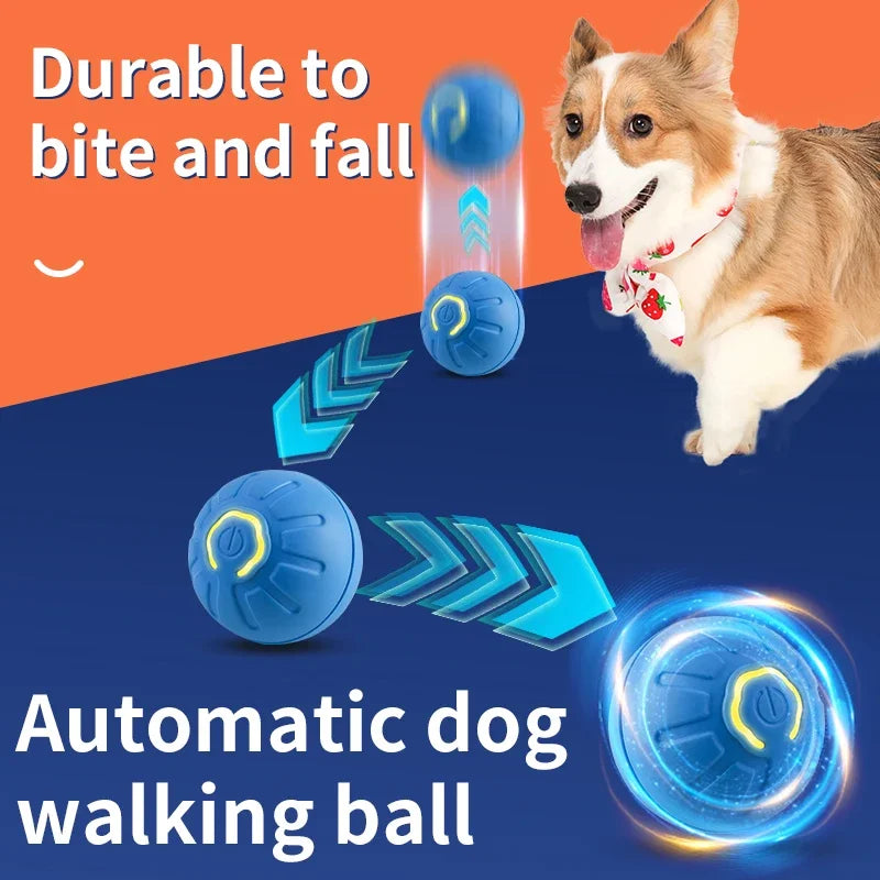Elec Dog's Toy Ball