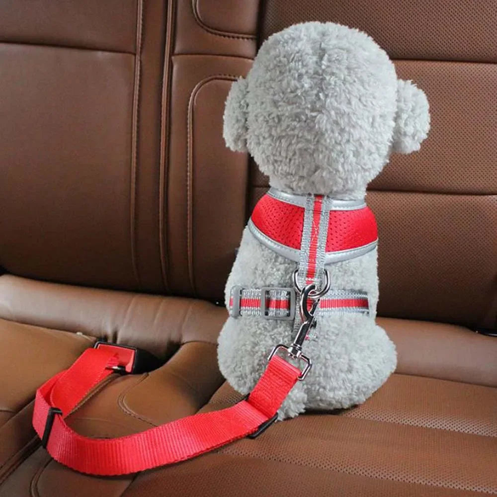 Pet's Car Safety Buckle